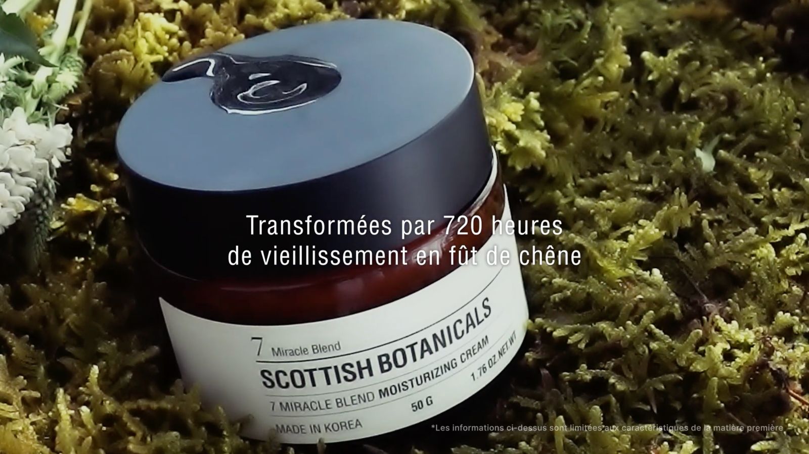 Charger la vidéo : 