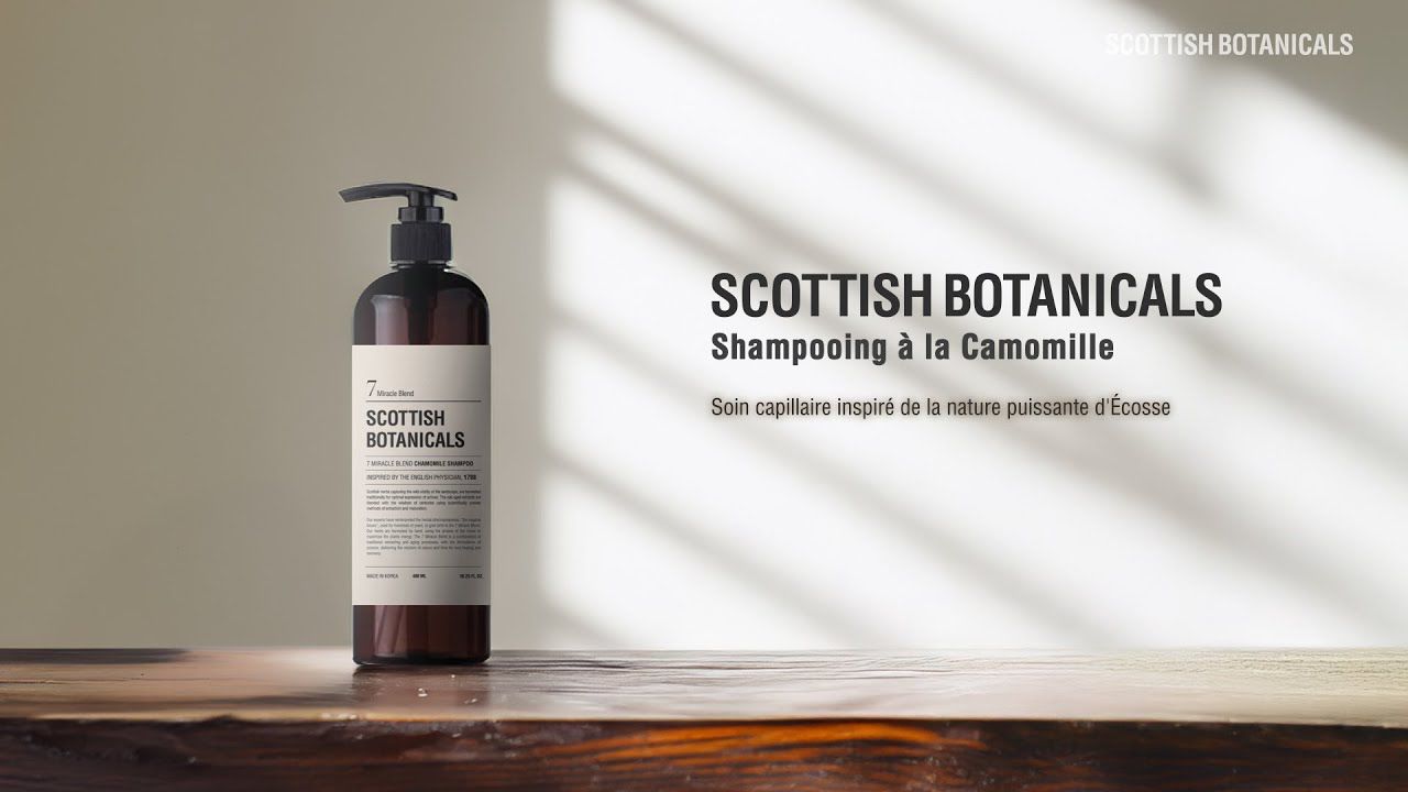 Charger la vidéo : 