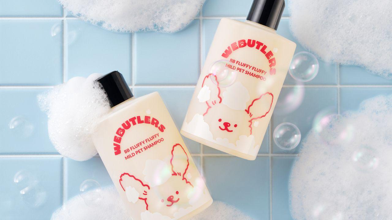 Charger la vidéo : 